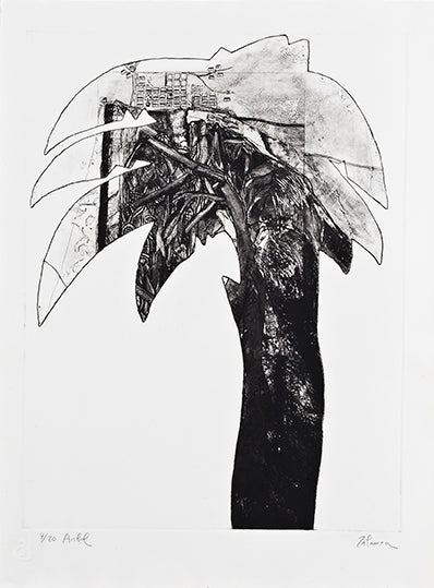 Árbol Palmera