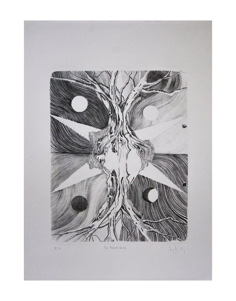 The Cosmic Wave