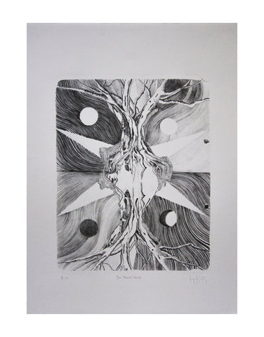 The Cosmic Wave